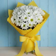 Букет цветов из:  Хризантемы в Знаменке Тамбовской области