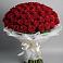 101 Красная роза Блэк Мэджик в Знаменке Тамбовской области Букет 101 Красная роза Блэк Мэджик в Знаменке Тамбовской области