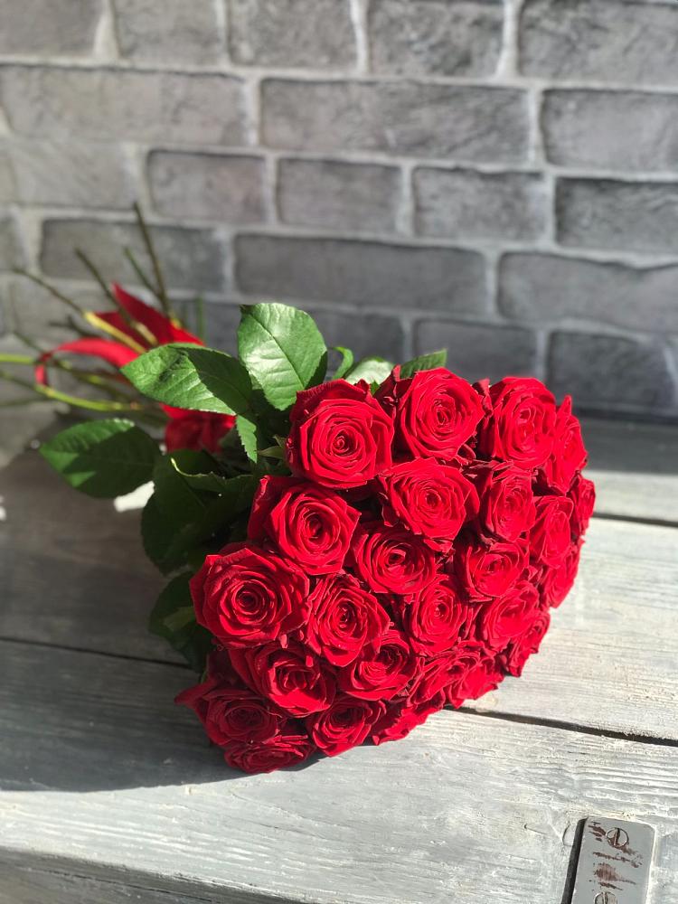 Букет Красные розы Фридом в Знаменке Тамбовской области