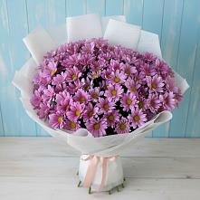 Букет сиреневая охапка в Знаменке Тамбовской области Букет цветов из:  Хризантемы в Знаменке Тамбовской области