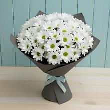 Букет белые хризантемы в Знаменке Тамбовской области Букет цветов из:  Хризантемы в Знаменке Тамбовской области