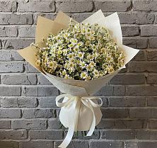 Букет цветов из:  Ромашки в Знаменке Тамбовской области