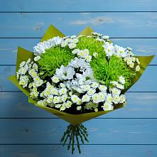 Букет скромность  в Знаменке Тамбовской области Букет цветов из:  Хризантемы в Знаменке Тамбовской области