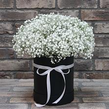 Цветочная композиция из Гипсофила в шляпной коробке в Знаменке Тамбовской области
