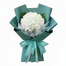 Букет цветов из:  Гортензия в Знаменке Тамбовской области